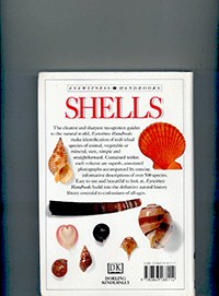shells		