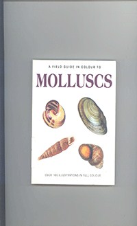 Molluscs		
