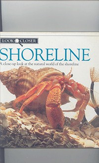 SHoreline		