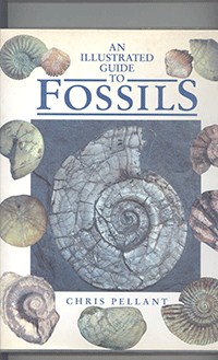 Fossils		