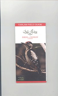 پرندگان تهران و حومه