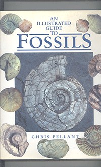 Fossils		
