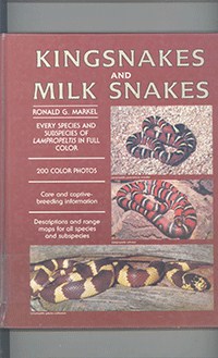 King snskes&milk snakes		