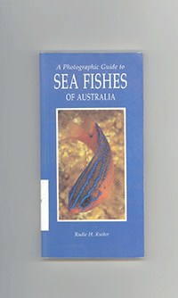 Sea Fish Australia		