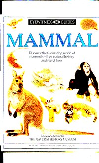 Mammal		